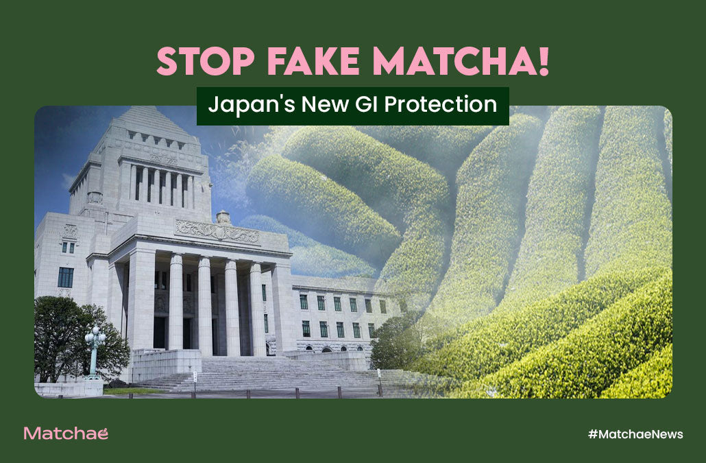 Don't Be Fooled! Japan Officially Registers "Japanese Tea" to Protect Your Daily Matcha